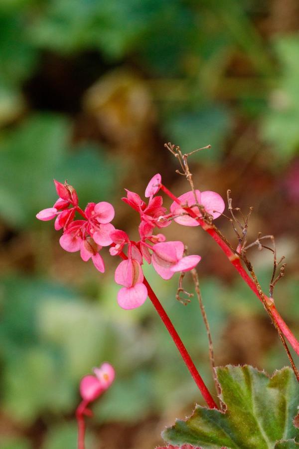 Sherbaug- A Theme Park And Resort Panchgani Esterno foto